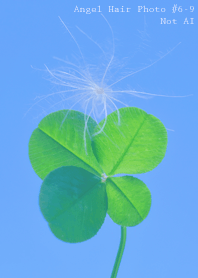 Angel Hair Photo#6-9Not AI