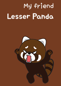 my friend lesser panda