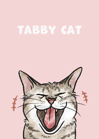 tabbycat4 - baby pink