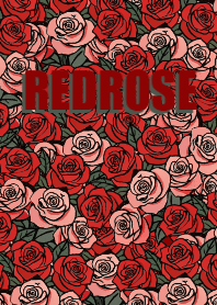 A Red rose