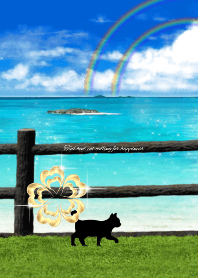 幸運を呼ぶ尾曲がり猫～かぎしっぽ～海