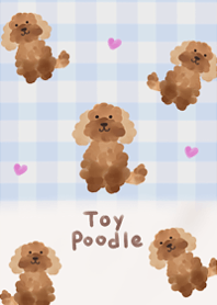 I love fluffy toy poodle7.