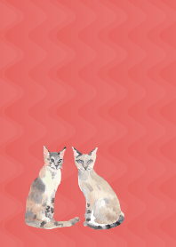 Calm cats on red