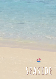 海濱 遊艇'棕色的'