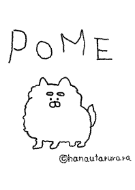 Relaxing dog(Pomeranian)