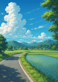 Summer Road Beside Rice Fields