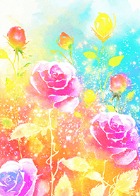 Beautiful rose flower(R2050)