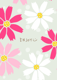 Cosmos cute11 from Japan