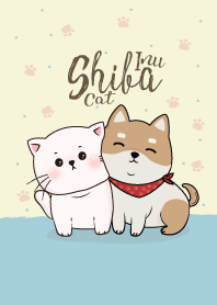 Shiba Inu & Cat.