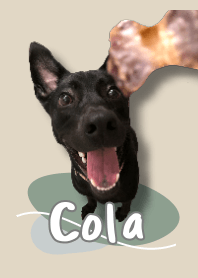 黑狗扣拉小姐姐(莫蘭迪色主題)