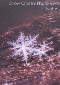 Snow Crystal Photo #9-6 Not AI