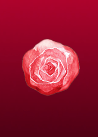 Simple rose 1