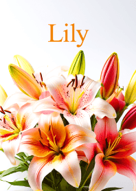 "Lily vol.3" theme