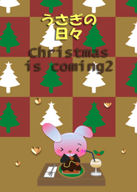 うさぎの日々(もうすぐクリスマス2)