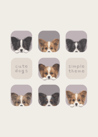 DOGS - Papillon - PURPLE GRAY