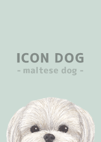 ICON DOG - Maltese dog - PASTEL GR/02