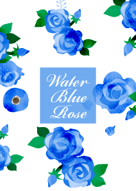 Water Blue Rose J