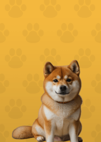 Cute Shibainu Theme Yellow 03