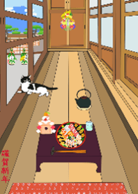 Cat in the Corridor of the Japan House 5