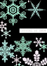 水晶雪黑主題 WV