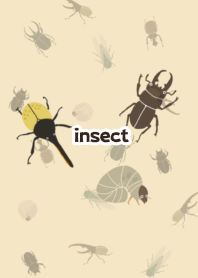 Kurumi insect