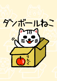 The white cat in the Cardboard box