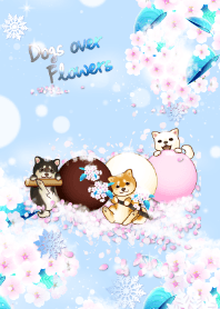 Dogs over Flowers 7 (winter, blossoms)