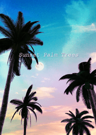 - Sunset Palm Trees -