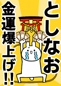 Fortune rise rabbiit[Toshinao]