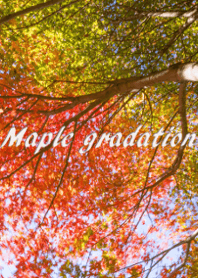 Maple gradation ver.3