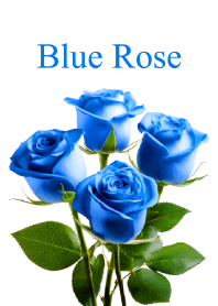"Blue Rose vol.5" theme