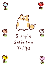 เรียบง่าย ชิบะอินุ ดอกทิวลิป สีขาวฟ้า