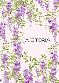 藤棚-wisteria-
