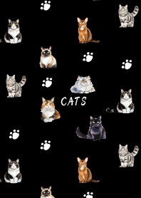 cat festival on black