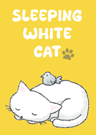 Sleeping White Cat