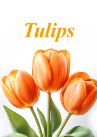 Tulips vol.18
