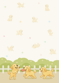 Golden Retriever play in the garden.10