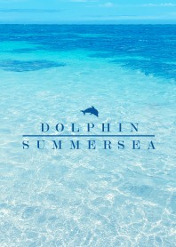 SUMMER SEA - HAWAII BLUE DOLPHIN 11
