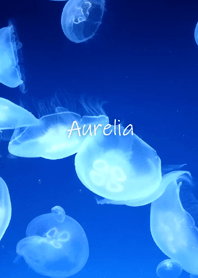 Aurelia 癒しのクラゲ