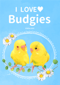 I LOVE Budgies
