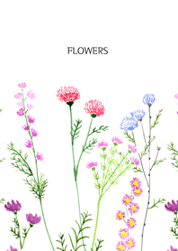 water color flowers_79