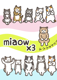 Miaow x 3