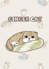 gingercat11 / beige
