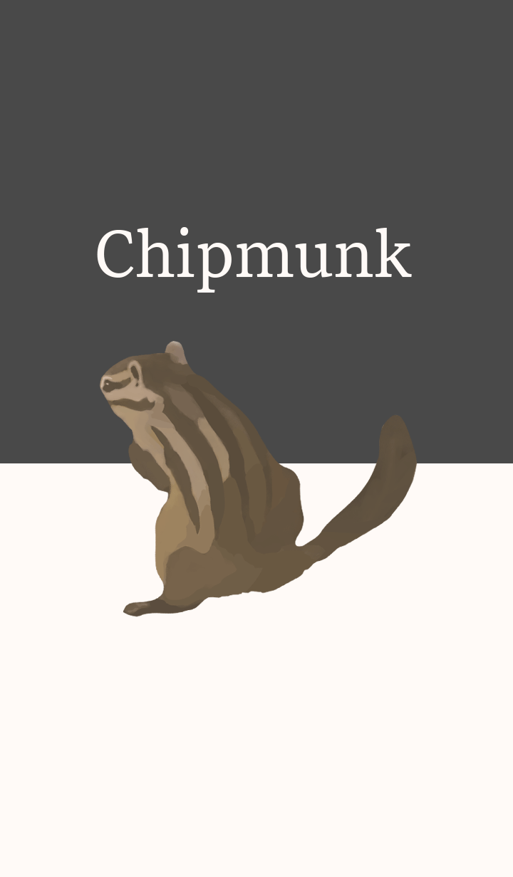 The Happy Life of Chipmunks