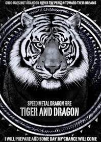Speed metall dragon fire Tiger & dragon2