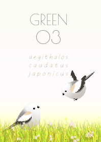 Aegithalos caudatus japonicus/Green 03v2