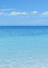 Beautiful Sea Hawaii 30