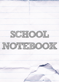 SCHOOL NOTEBOOK Exchange diary in youth