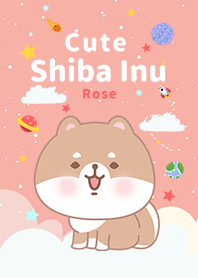 misty cat-Shiba Inu Galaxy rose
