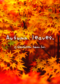 紅葉日和
